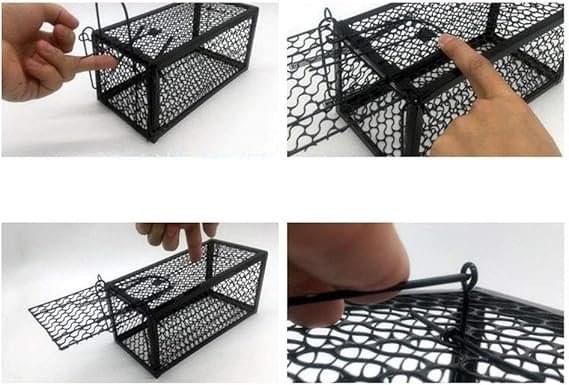 1 mouse trap - Image 2